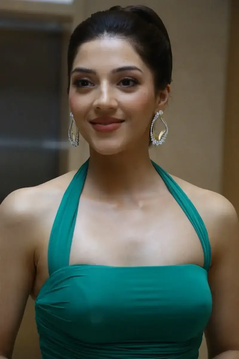 ACTRESS MEHREEN PIRZADA AT SPARK LIFE MOVIE TEASER LAUNCH 19